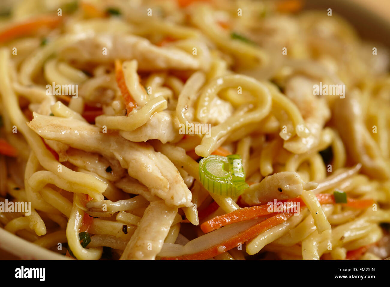 Hakka Fried Noodles with chicken, Indian/Chinese style (sometimes