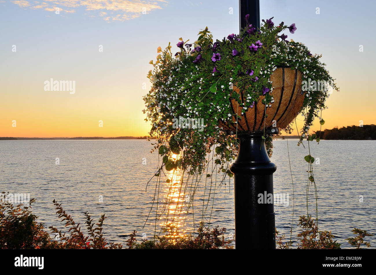 Hanging flower basket hi-res stock photography and images - Alamy
