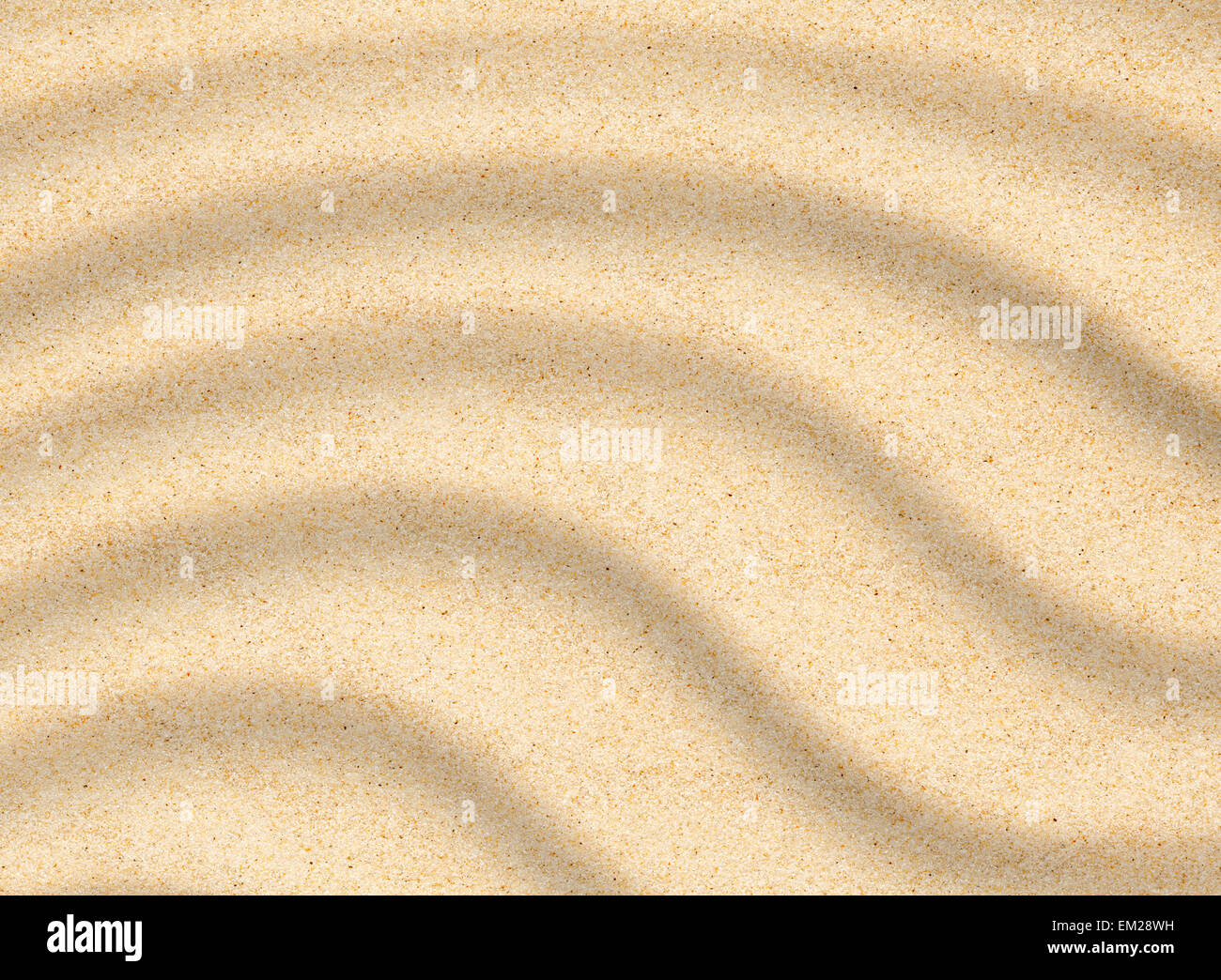 Sand beach closeup texture Stock Photo