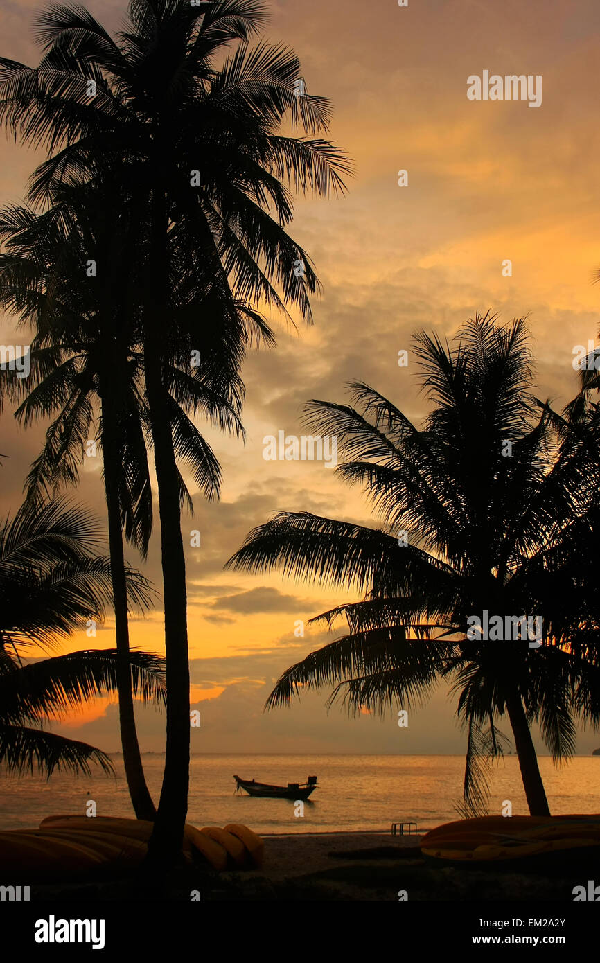 Tropical beach with palm trees at sunrise, Wua Talab island, Ang Thong National Marine Park, Thailand Stock Photo