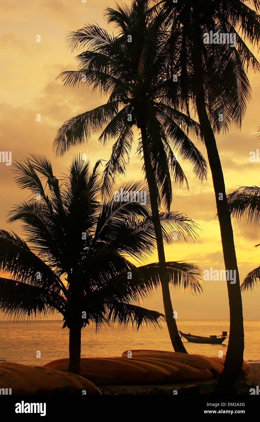 Tropical beach with palm trees at sunrise, Wua Talab island, Ang Thong National Marine Park, Thailand Stock Photo