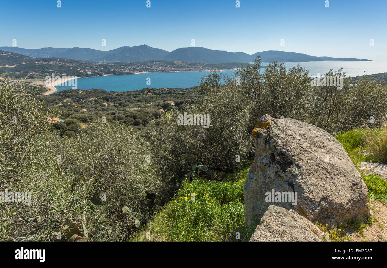 The beach and town of Propriano with a boulders and olive tress in the foreground and hills behind Stock Photo