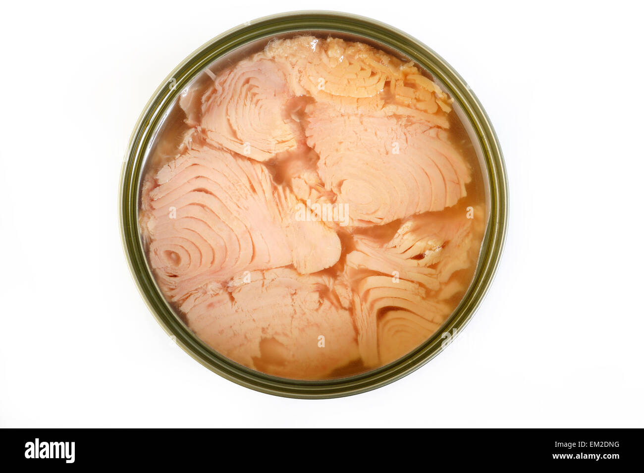 tuna fish in oil Stock Photo Alamy