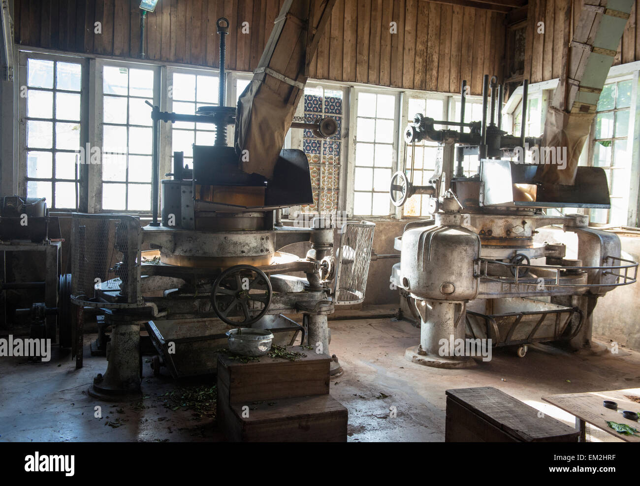 Inside the factory of the Kolukkumalai Tea Estate, the highest tea ...