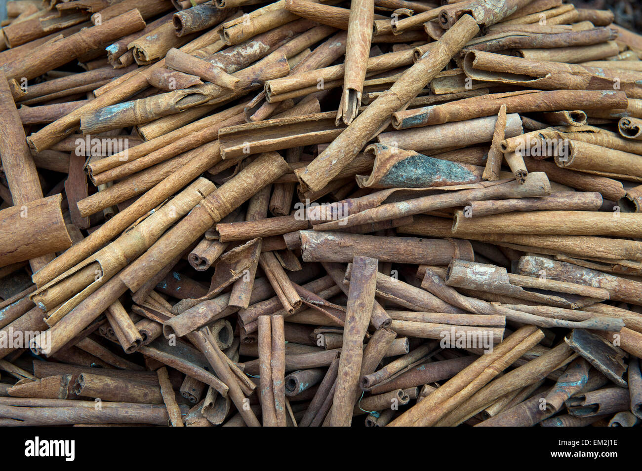 Cinnamon sticks, Kerala, India Stock Photo
