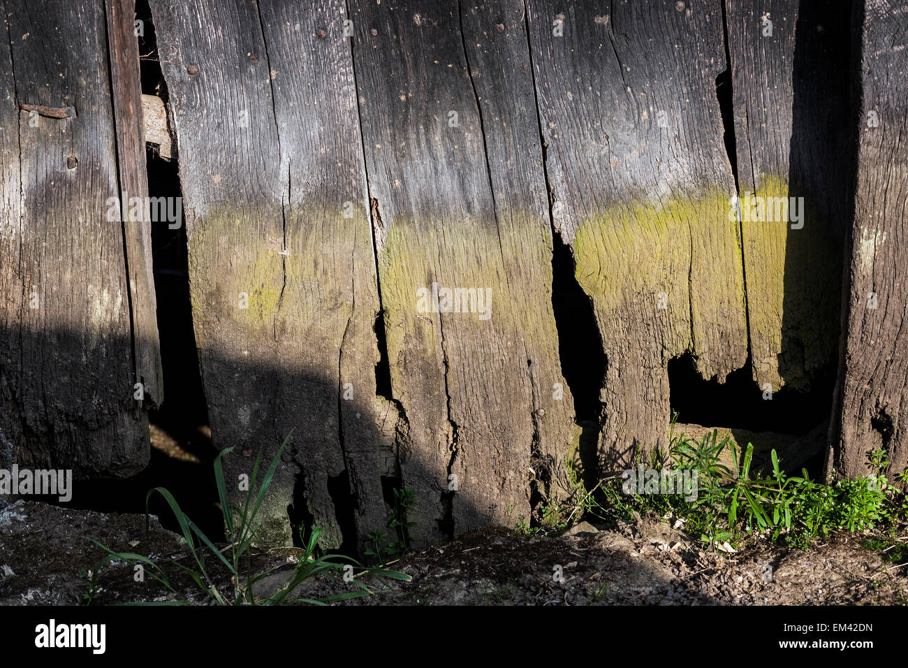 Old Barn Door Wood Material Old Rustic Wall Weathered Stock