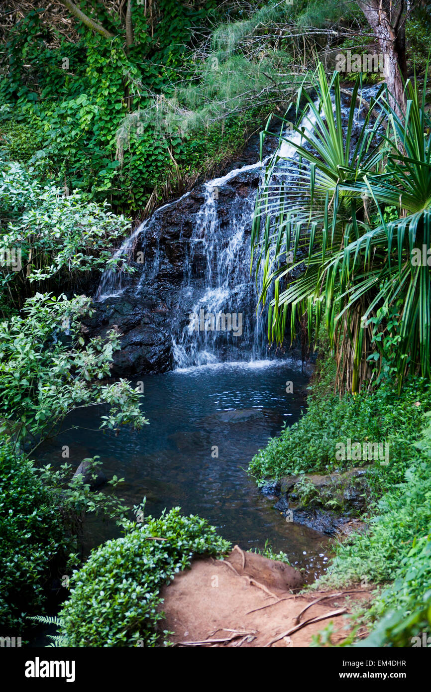 Princeville kauai cliffs hi-res stock photography and images - Alamy