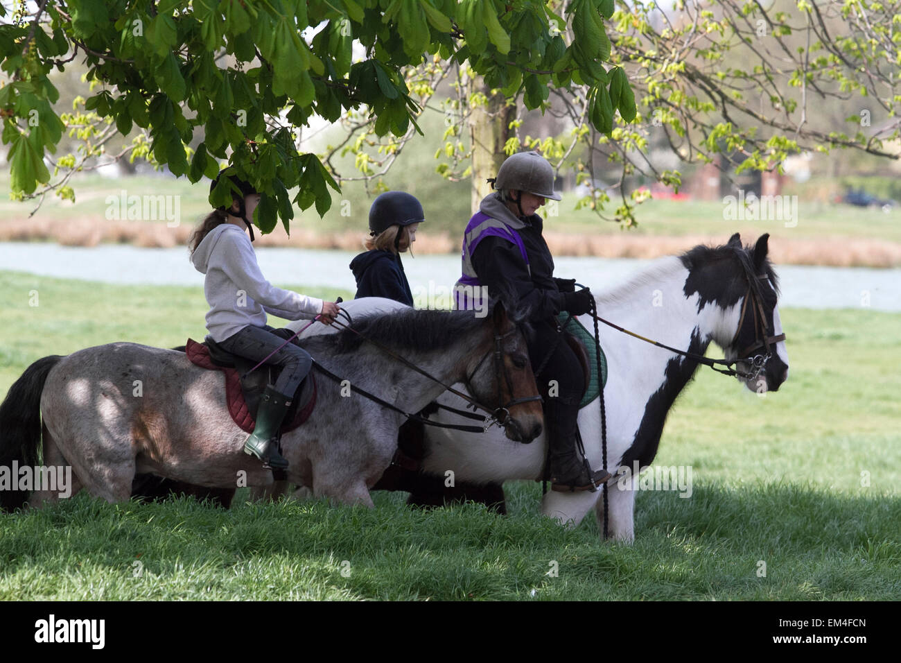 Wimbledon common horse riding hires stock photography and images Alamy
