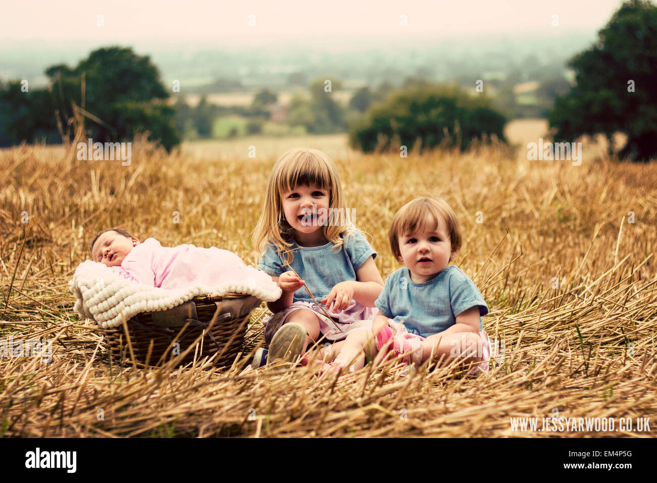 three children girls in a golden field, baby, toddler, landscape Stock Photo