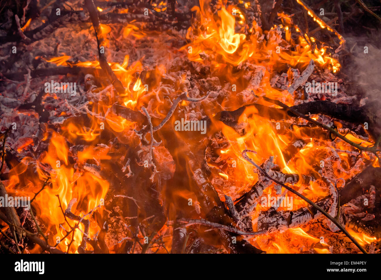 https://c8.alamy.com/comp/EM4PEY/bonfire-burning-rubbish-in-garden-EM4PEY.jpg