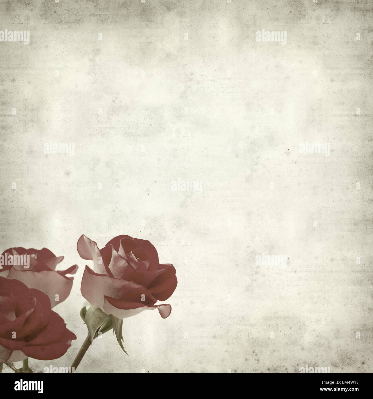 Rusty Paper Roses Backround textured old paper background with two-toned roses Stock Photo - Alamy