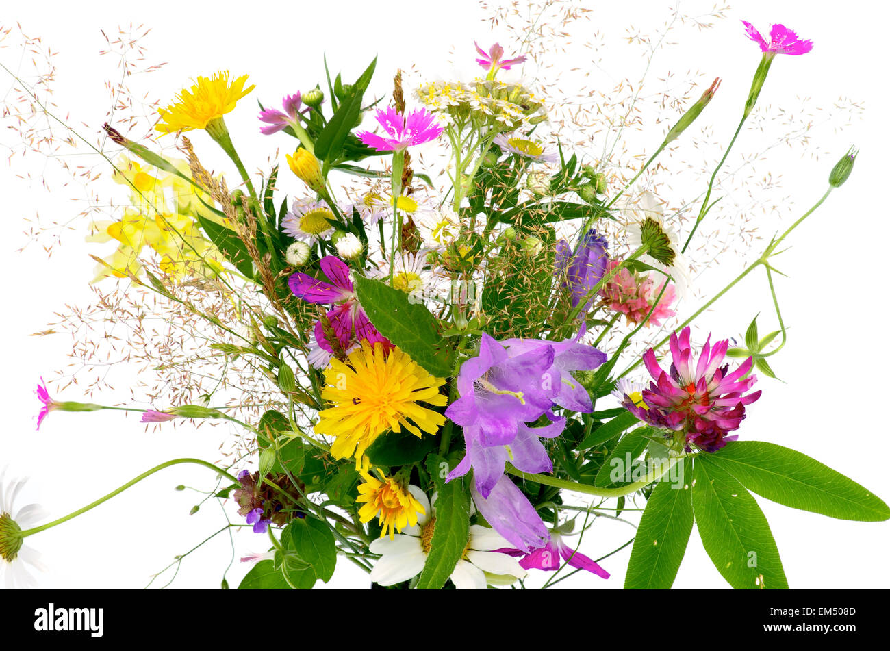 Wildflower bouquet hi-res stock photography and images - Alamy