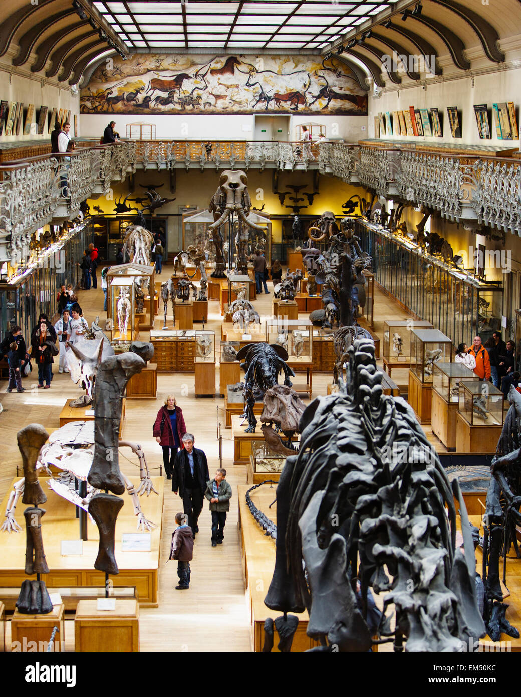 Musee d histoire naturelle stock photo alamy