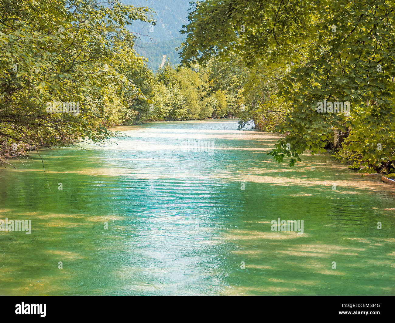 Green river with trees in summer Stock Photo - Alamy