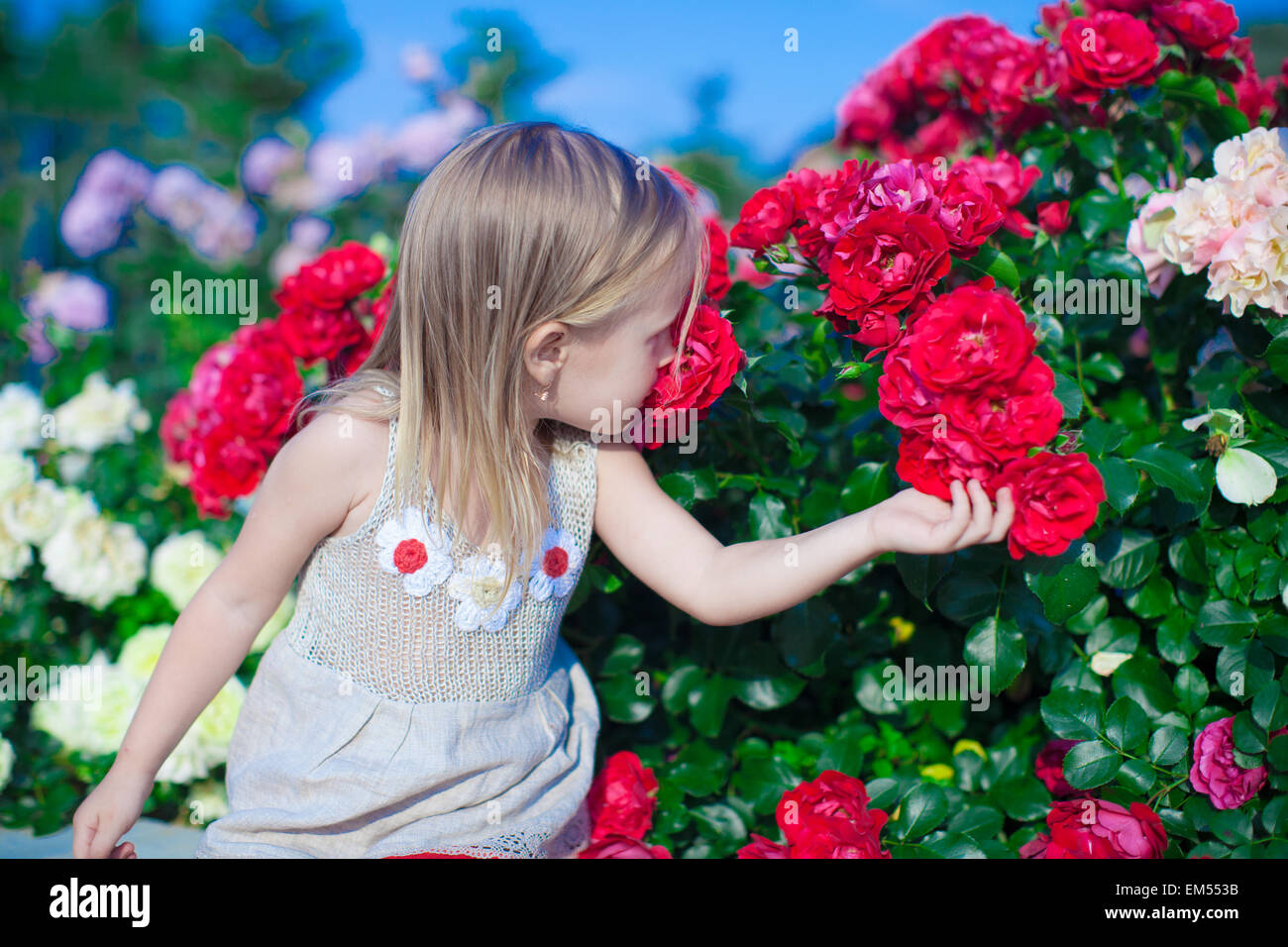 Little adorable girl sitting near colorful flowers in the garden Stock ...