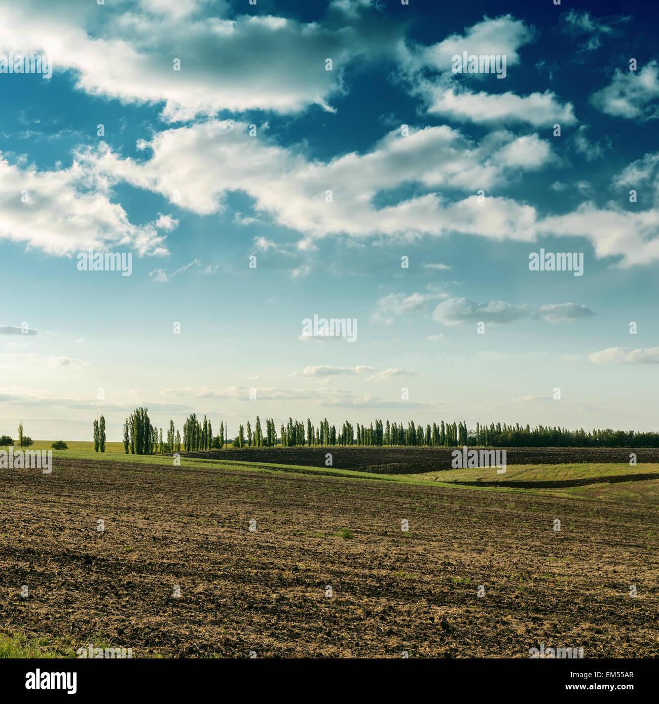 field after harvesting and dramatic sky Stock Photo - Alamy