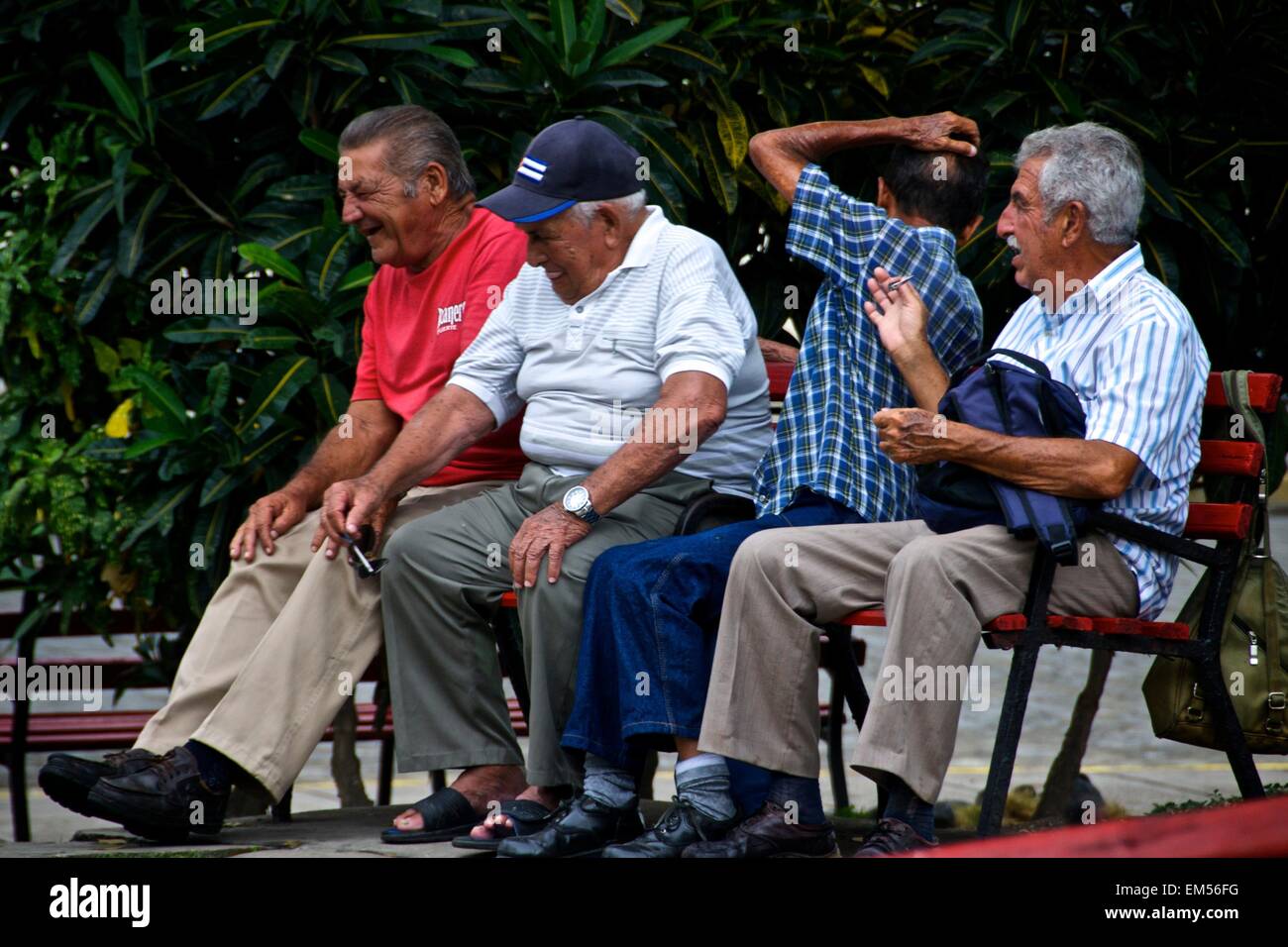 Old Cuban men gathered on a park bench laughing and socializing in Santa Clara, Cuba. Stock Photo
