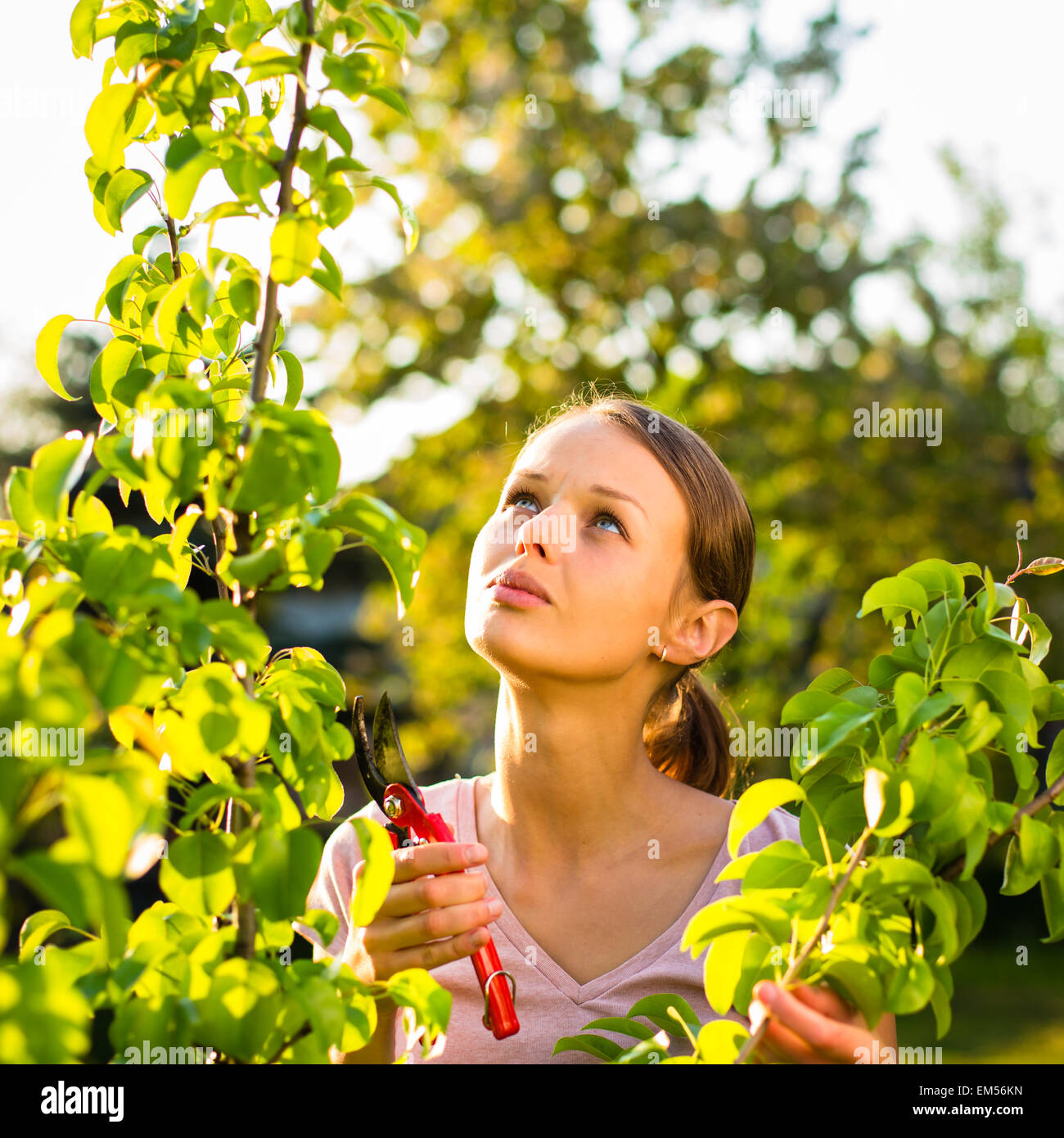 Pretty female gardener taking care of her lovely garden Stock Photo - Alamy