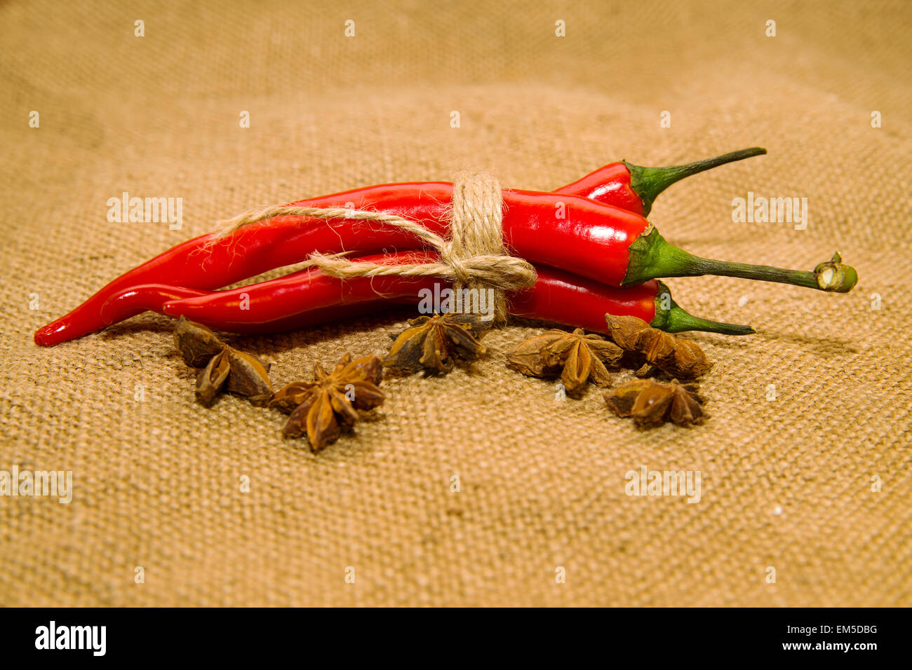 Three Chile peppers tied with a rope and star anise fruits on old cloth ...