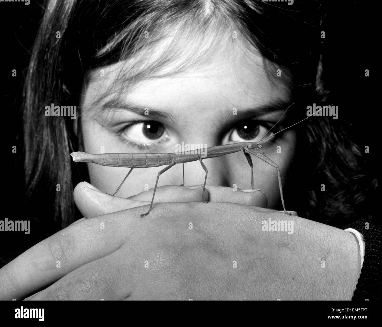 Eight year old Claire Barton of Tankerton, Kent with her pet stick insect Twiggy. 31st January 1980. Stock Photo