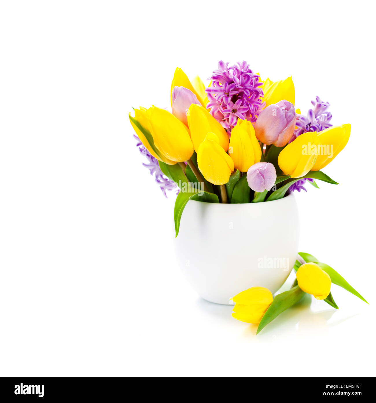 Beautiful spring flowers Stock Photo - Alamy