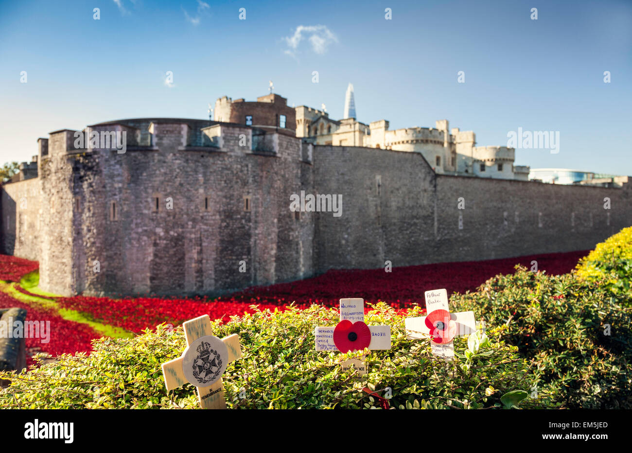 The Tower of London on armistice day, UK. Stock Photo