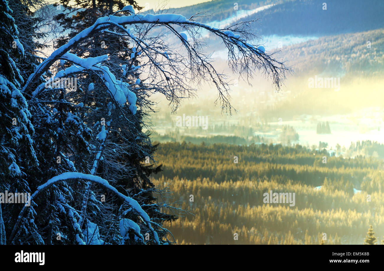 Postcard of the winter scene hi-res stock photography and images - Alamy