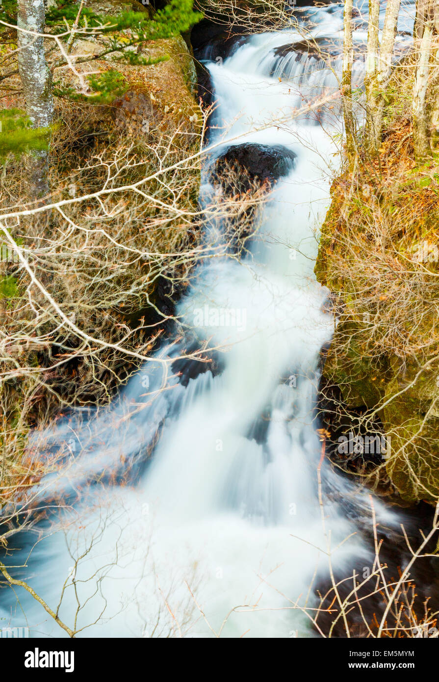 Rock river weed hi-res stock photography and images - Alamy