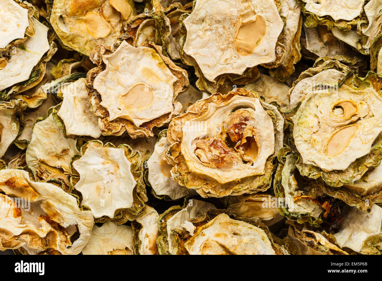 Dry bitter melon Stock Photo