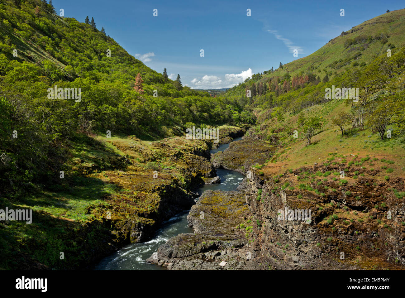 WA10316-00...WASHINGTON - The Klickitat River from the Fisher Hill Bridge on the Klickitat Trail. Stock Photo