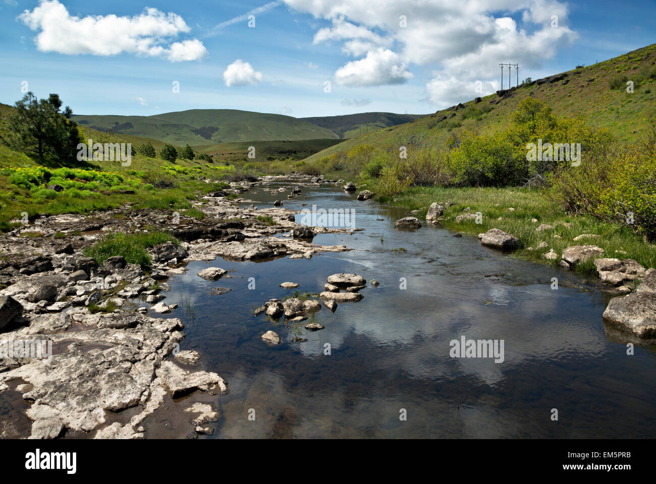 WASHINGTON - Swale Creek paralleling the Klickitat Trail through pasture land before descending into Swale Canyon. Stock Photo