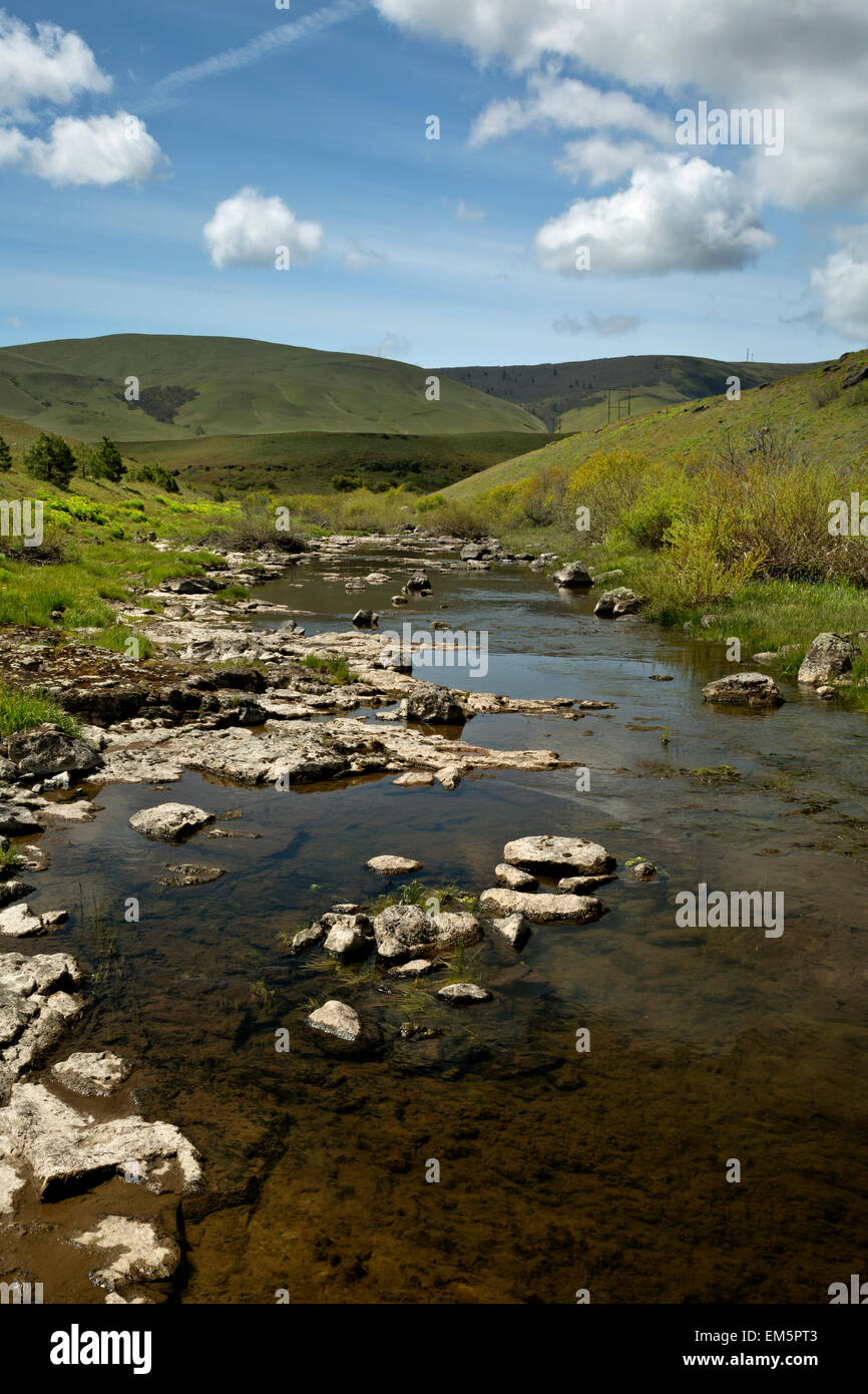 WA10320-00...WASHINGTON - Swale Creek paralleling the Klickitat Trail through pasture land before descending into Swale Canyon. Stock Photo