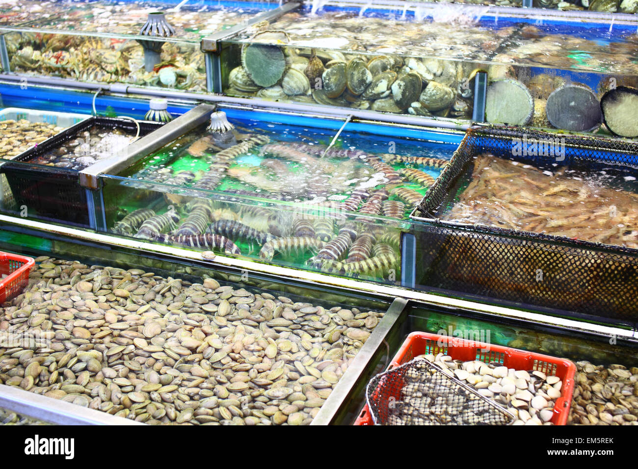 Seafood market fish tank in Hong Kong Stock Photo Alamy