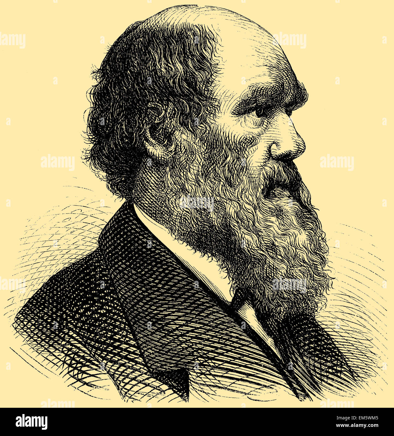 Charles Robert Darwin (February, 12 1809 – April, 19, 1882), English naturalist and scholar Stock Photo