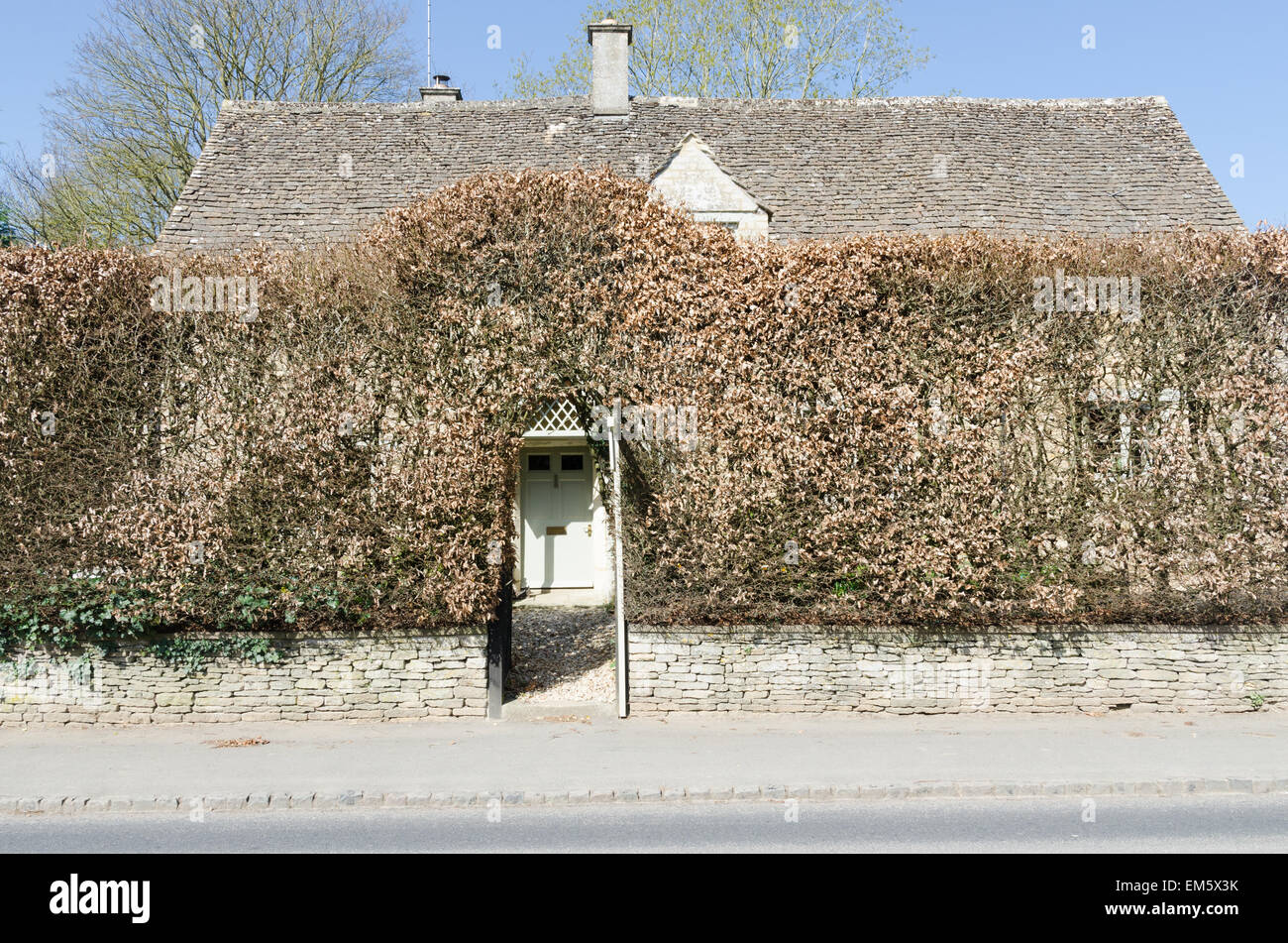 Smart Cotswold cottage hidden from view by a hedge apart from the front door Stock Photo