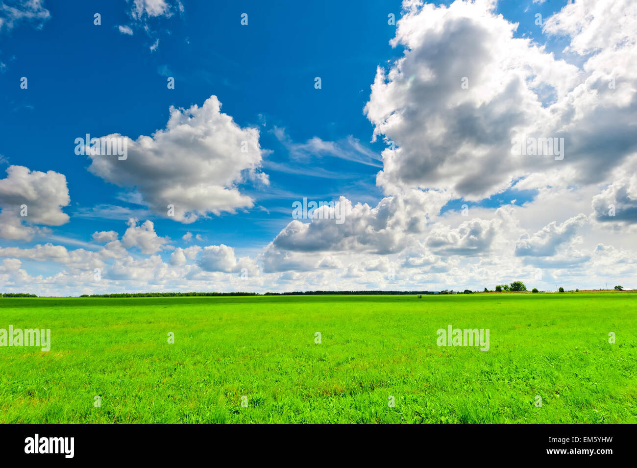 Green field sunny hi-res stock photography and images - Alamy