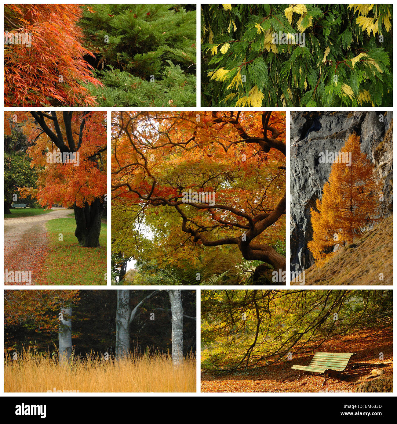 autumn season, colors and shades of nature - collage Stock Photo