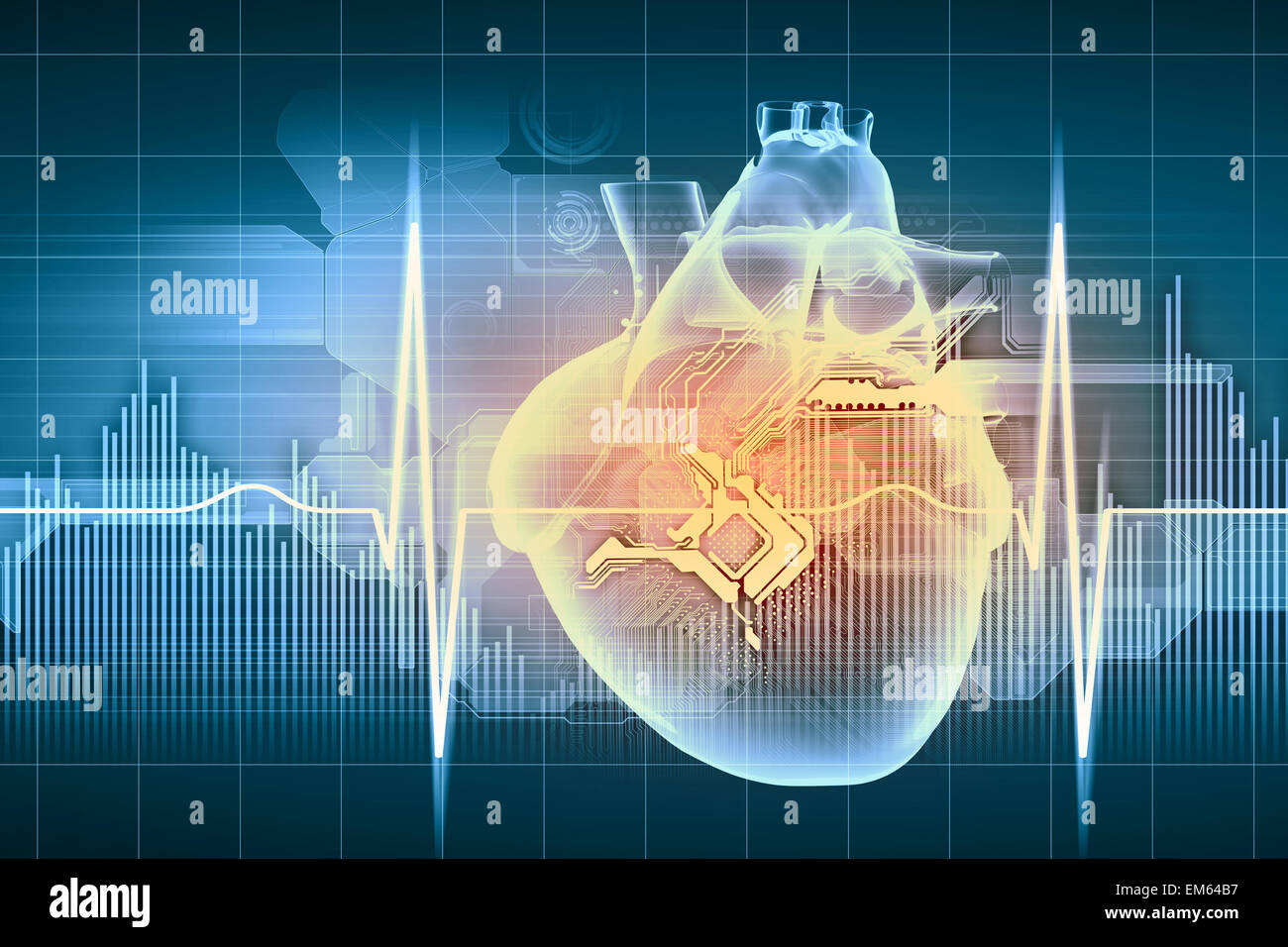 Human heart beats Stock Photo Alamy