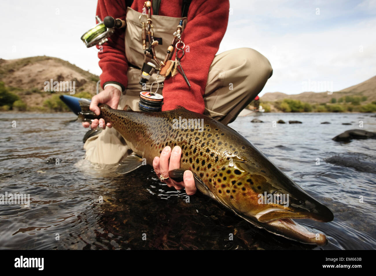 Fly Fishing Patagonia, Argentina Stock Photo Alamy