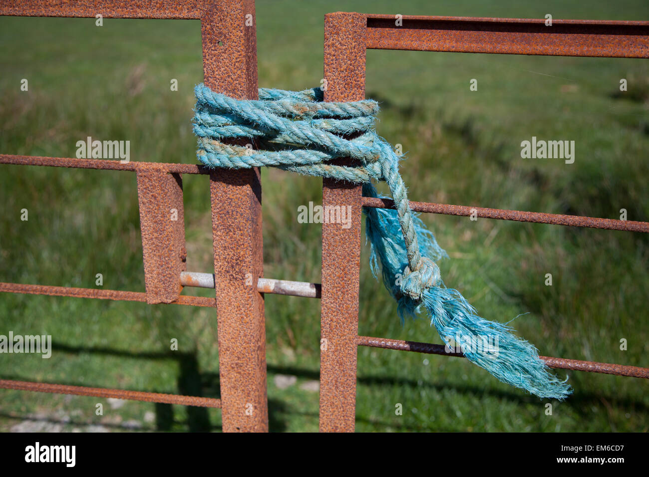 close-up creative shot of a pitted rusty farm gate tied shut with blue rope / twine with green grass and blue sky in background Stock Photo