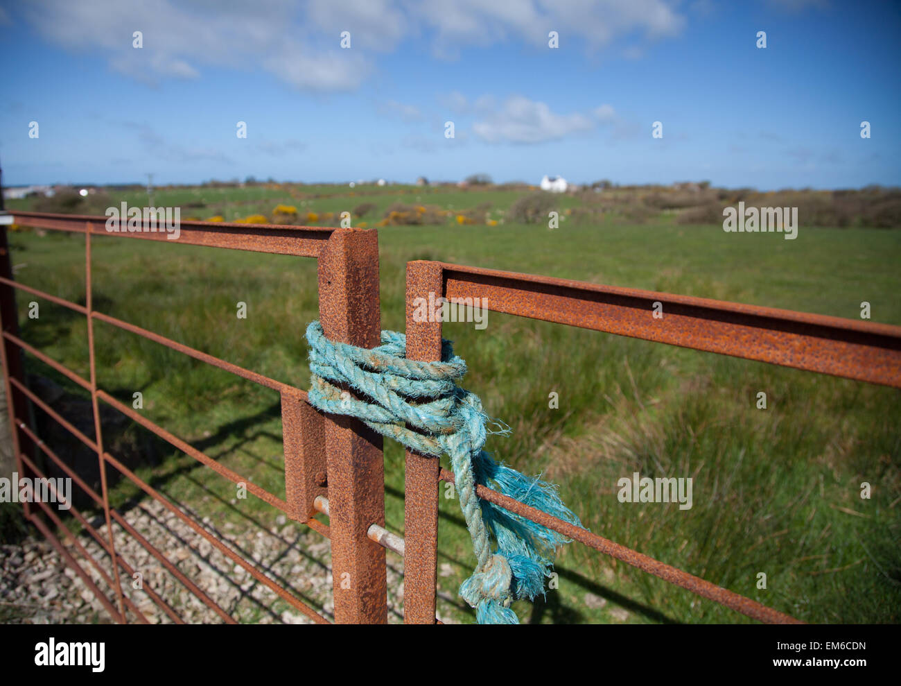 close-up creative shot of a pitted rusty farm gate tied shut with blue rope / twine with green grass and blue sky in background Stock Photo