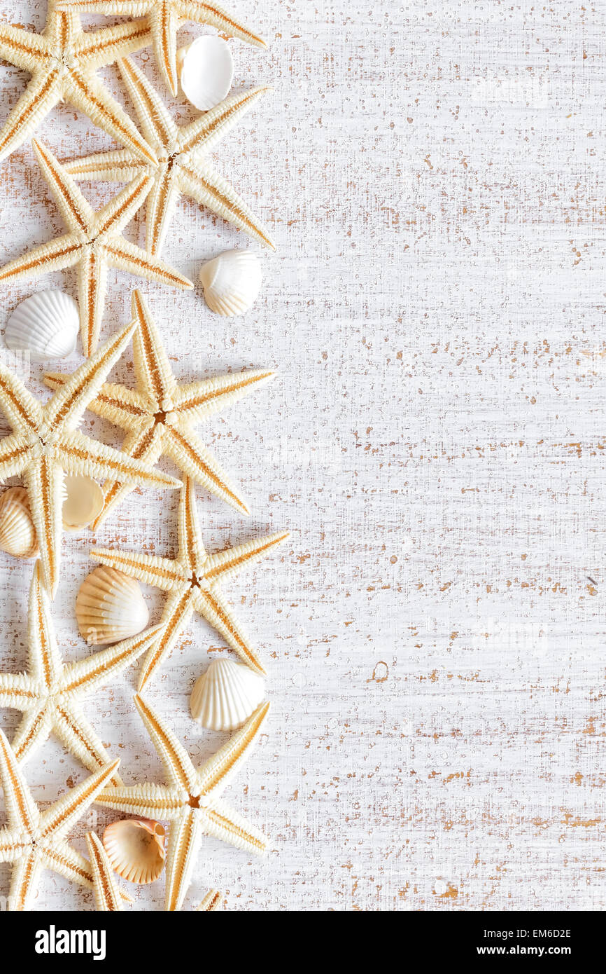 Cord of shells hi-res stock photography and images - Alamy