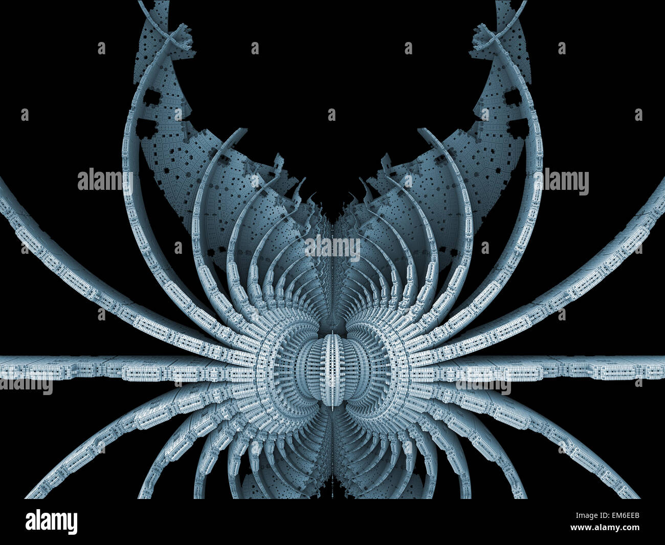 Spider element hires stock photography and images Alamy