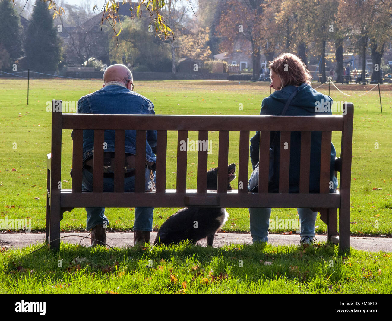 Couple sitting on park bench with dog Stock Photo - Alamy