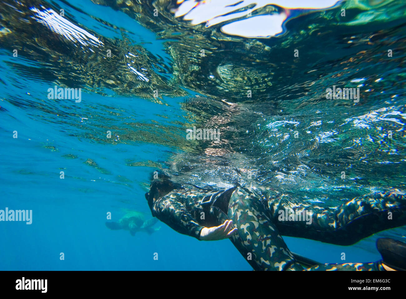Spearfishing hawaii hi-res stock photography and images - Alamy