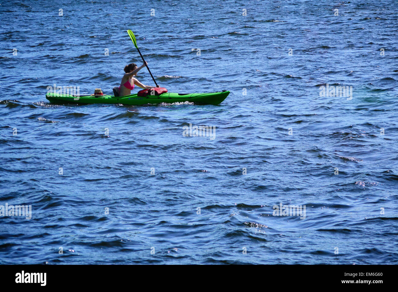 Kayaker, Homosassa River, Florida Stock Photo Alamy