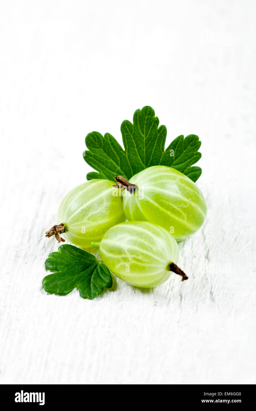 gooseberries with leaves Stock Photo Alamy