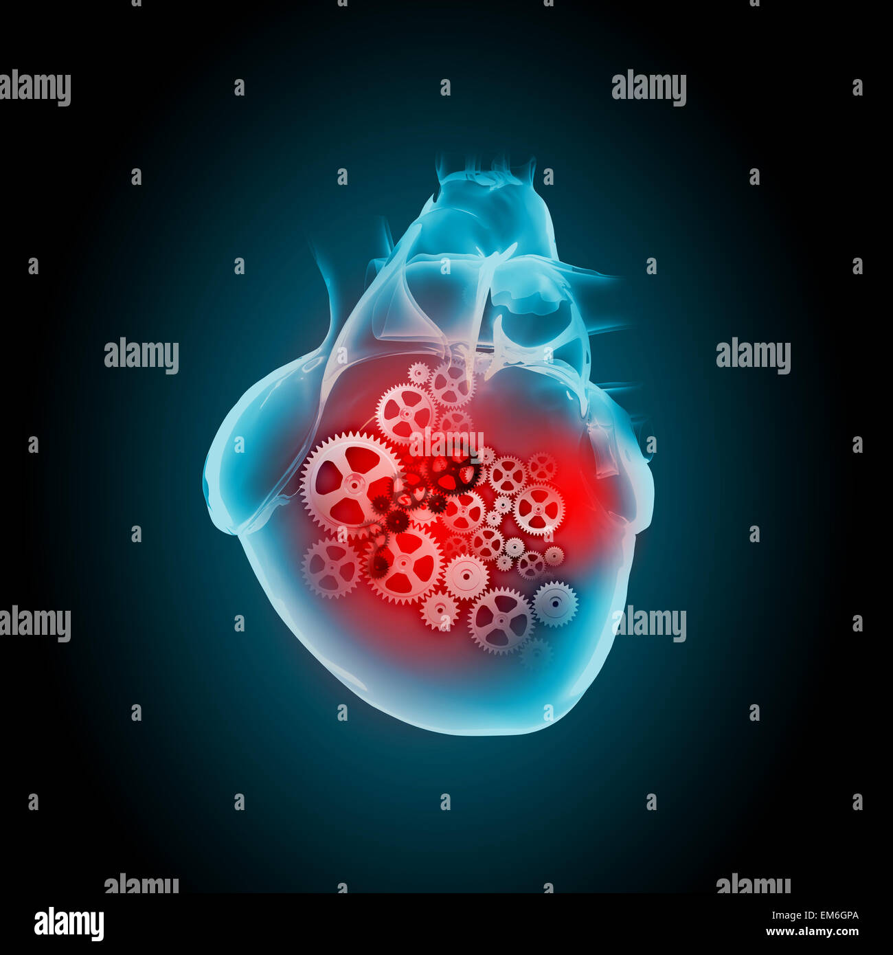 My Image 22