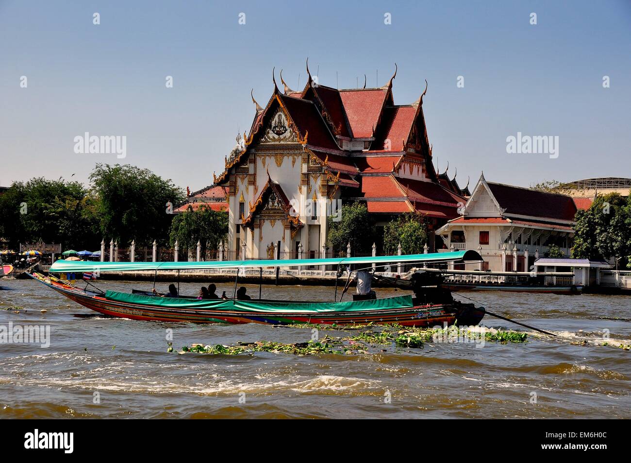 Bangkok, Thailand:  Longtail touring boat on the Chao Praya River choked with floating plants glides past a Thai wat Stock Photo