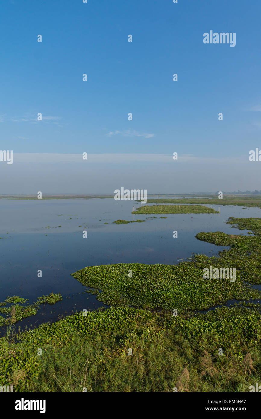 Bird nature reserve in Bangladesh Stock Photo